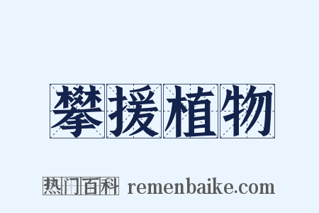 攀援植物是什么意思的图片